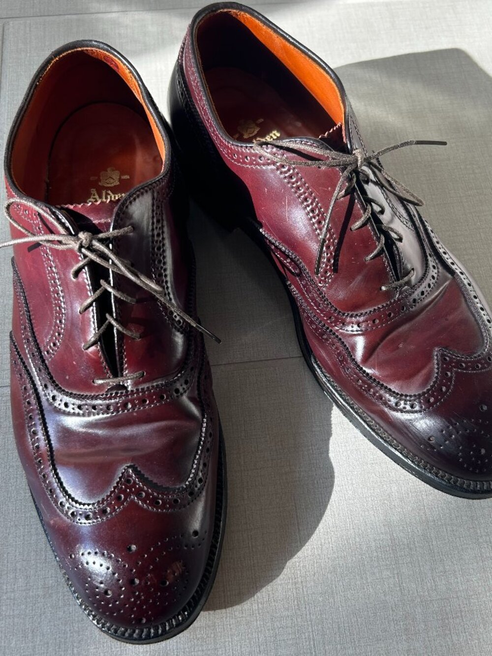 Alden 974 Shell Cordovan Leather Men's 11 B/D Long Wing Blucher Shoes